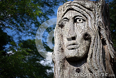 Face sculpted in wood Ferrieres-en-Brie Forest by Daniel Stinus Editorial Stock Photo