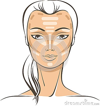 Face Sculpting With Makeup Vector Illustration