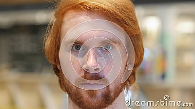 Face of Serious Redhead Beard Man Looking at Camera Stock Photo