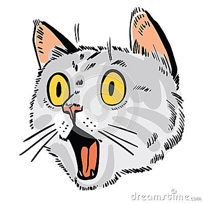 Face of surprised cat. Cat portrait drawing Vector Illustration