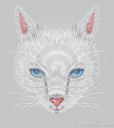 Face of a white cat with expressive blue eyes Vector Illustration