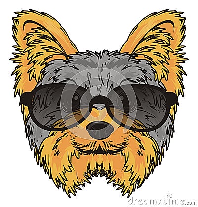 Face of yorkie in sunglasses Stock Photo