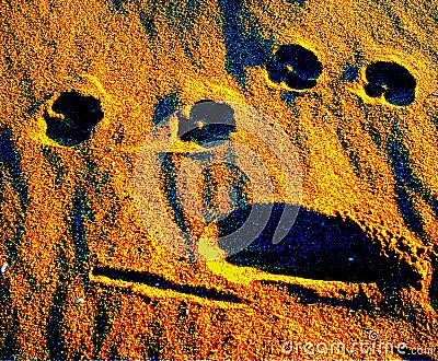 Faces in the sand Stock Photo