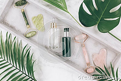 Facial roller from crystal rose quartz and massage tool jade Gua sha on the tray on grey background with palm leaves. Stock Photo