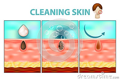 Facial Skin Care and Cleaning Tools. Stock Photo