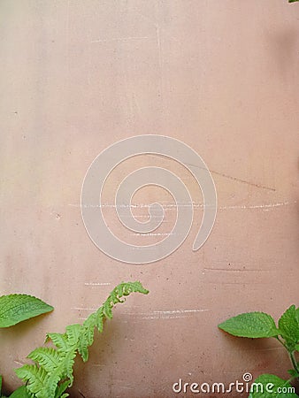 A faded orange wall with some weeds growing around it Stock Photo