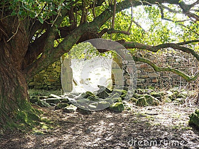 Faerie Portal Stock Photo