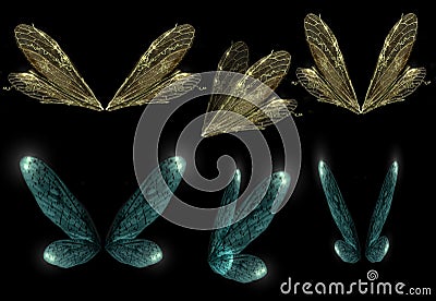 Faerie Wings Stock Photo