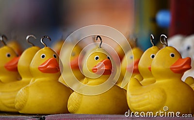 Fairground ducks in a hook a duck carnival game Stock Photo