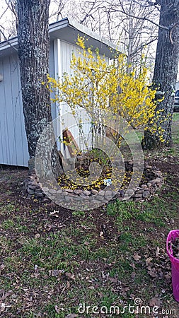 Fairie Ring of Rocks Stock Photo