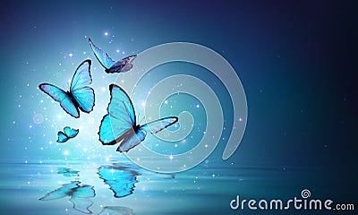 Fairy Blue Butterflies On Water Stock Photo