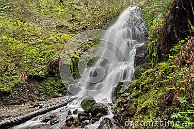 Fairy Falls in Spring Stock Photo