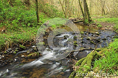 Fairy Glen, Rosemarkie, Highlands of Scotland Stock Photo