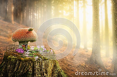Fairy house (Mushroom) Cartoon Illustration