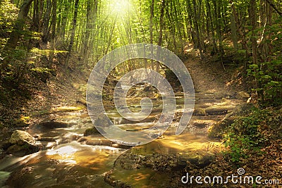 Fairy mountain forest at the river Stock Photo