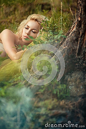 Fairy sleeping in the woods Stock Photo