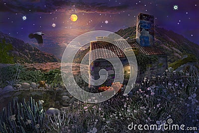 Fairy stone house with nests on roof and pond with frogs in magical forest of starry night with bright moon in sky Stock Photo