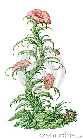 Fairy-tale freesia surreal flower painting. Isolated on white Stock Photo