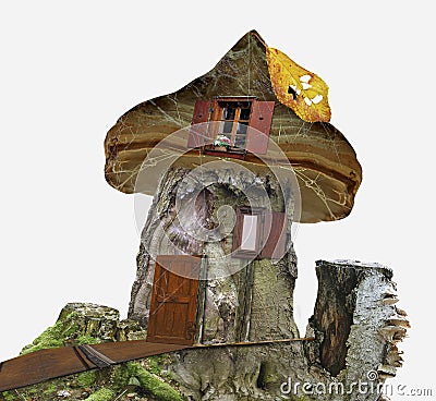 Fairy-tale house of stump with windows, spider web and leaf Cartoon Illustration