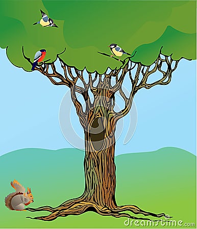 Fairy-tale rooted oak tree, squirrel and birds Vector Illustration