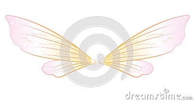 Fairy wings Vector Illustration