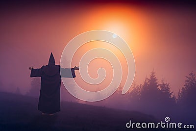 Fairy wizard in a black cassock Stock Photo
