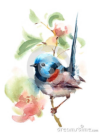 Fairy Wren Bird on the branch with Flowers Watercolor Illustration Hand Painted isolated on white background Cartoon Illustration