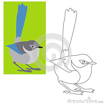 Fairy wren bird vector illustration coloring page Vector Illustration