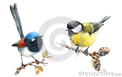 Fairy Wren and Tit Birds Watercolor Illustration Set Hand Drawn Cartoon Illustration