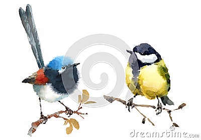 Fairy Wren and Tit Two Birds Watercolor Hand Painted Illustration Set isolated on white background Cartoon Illustration