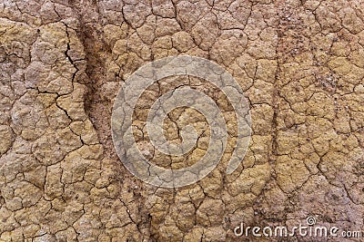 Fairytale Canyon Yellow Ground Kyrgyzstan Stock Photo