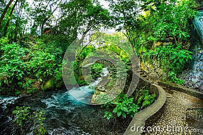 Fairytale landscape in the forest Stock Photo