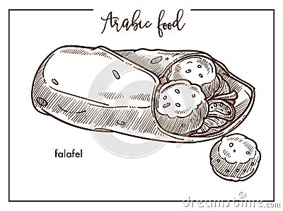 Falafel with pita bread from traditional Arabic food Vector Illustration