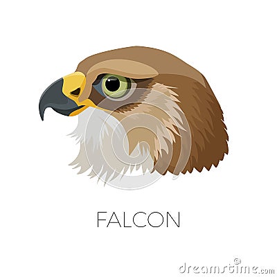 Falcon gorgeous profile with sharp beak and green eyes Vector Illustration