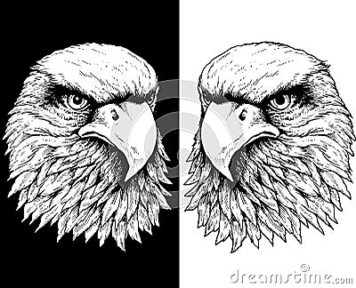 Falcon heads in black and white Vector Illustration