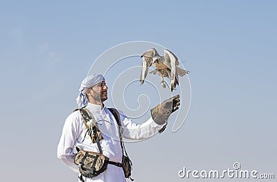Falconer is training Peregrine Falcon in a desert near Dubai Editorial Stock Photo