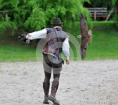 Falconry Editorial Stock Photo