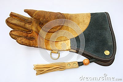 Falconry glove. Stock Photo