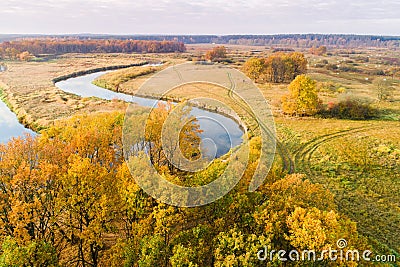 Fall. Aerial landscape. Autumn meadow. Fall nature. Tranquil colorful background. Above meadow Stock Photo