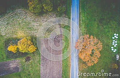 Fall aerial landscape of tree and road Stock Photo