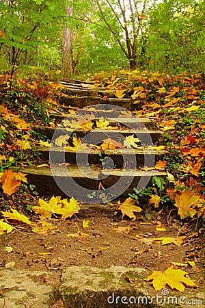 Fall Ascension Stock Photo