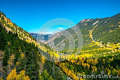 Fall Aspens at Guanella Pass in Colorado Stock Photo