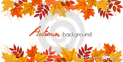 Fall Autumn Colorful Leaves Background. Vector Illustration