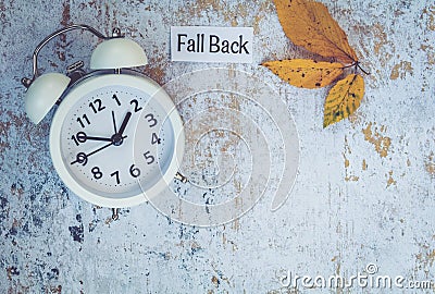 Fall Back Daylight Saving Time concept with white clock and flowers, flat lay Stock Photo