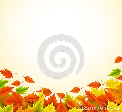 Fall background for autumn season with collection of orange and yellow maple leaves Vector Illustration