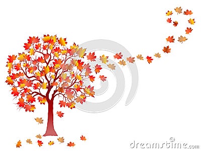 Fall background with colorful tree and falling leaves isolated on white background. Stock Photo
