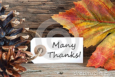 Fall Background with Many Thanks Stock Photo