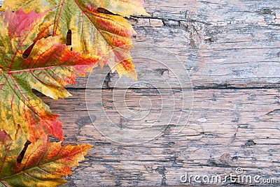 Fall Background Stock Photo