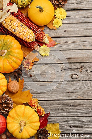 Fall background with pumpkins Stock Photo