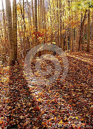 Fabulous Fall in the Mountains Stock Photo